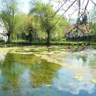 Feldmochinger Weiher