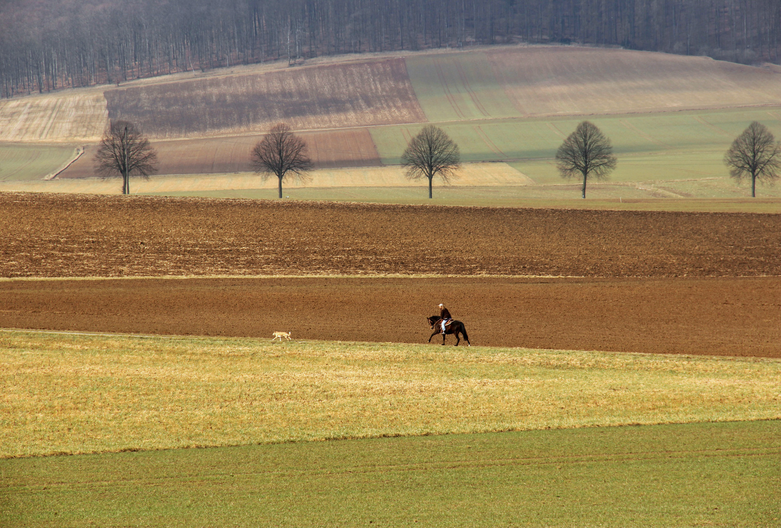 Feldmuster oder der Reiter mit Hund