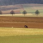 Feldmuster oder der Reiter mit Hund