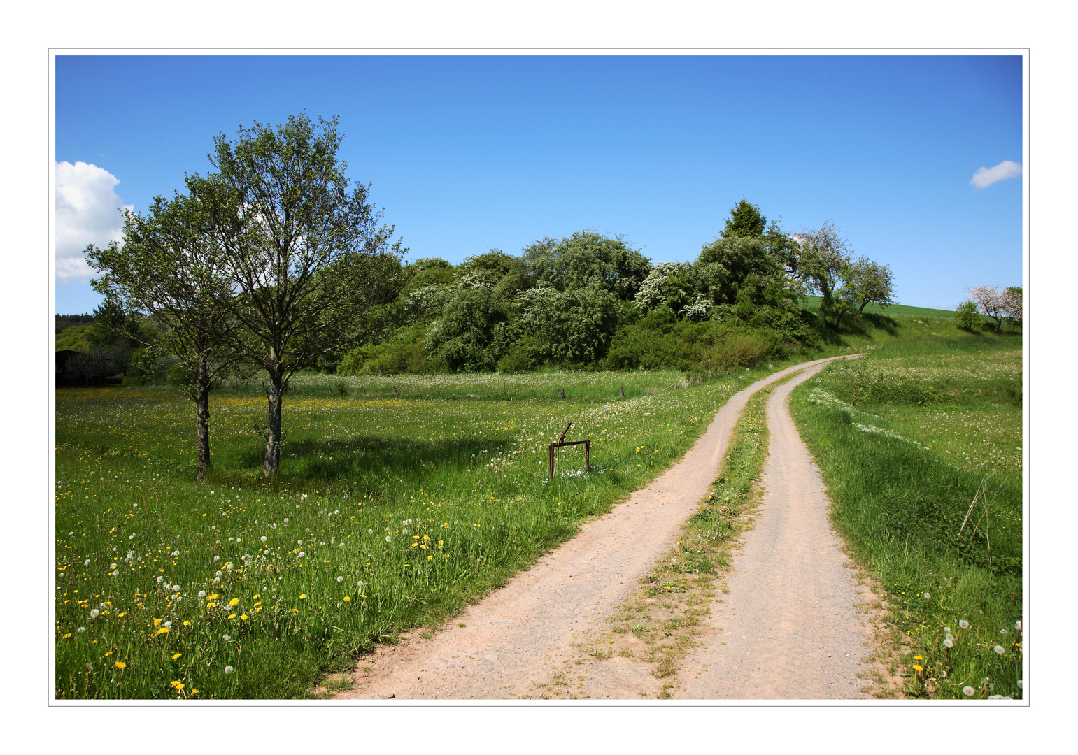 Feldrain im Frühling