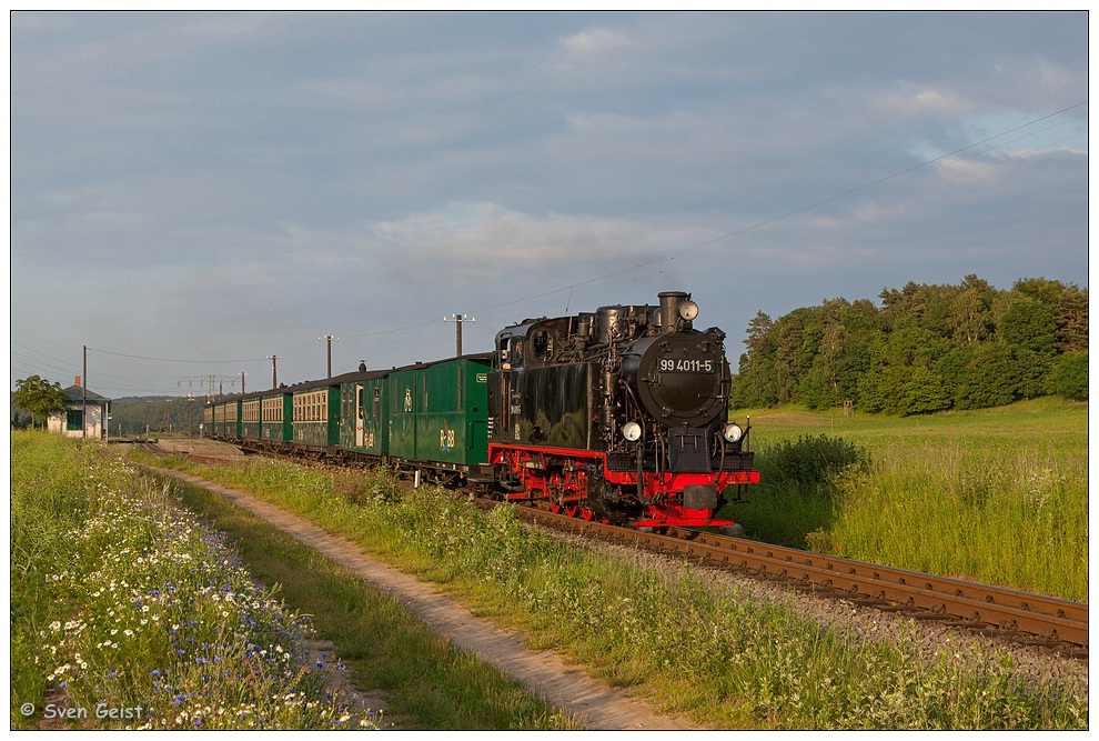 Feldrain mit Sommerblumen beim Bahnhof Seelvitz