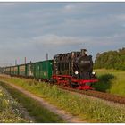 Feldrain mit Sommerblumen beim Bahnhof Seelvitz