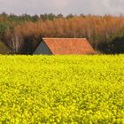 Feldscheune im Herbst