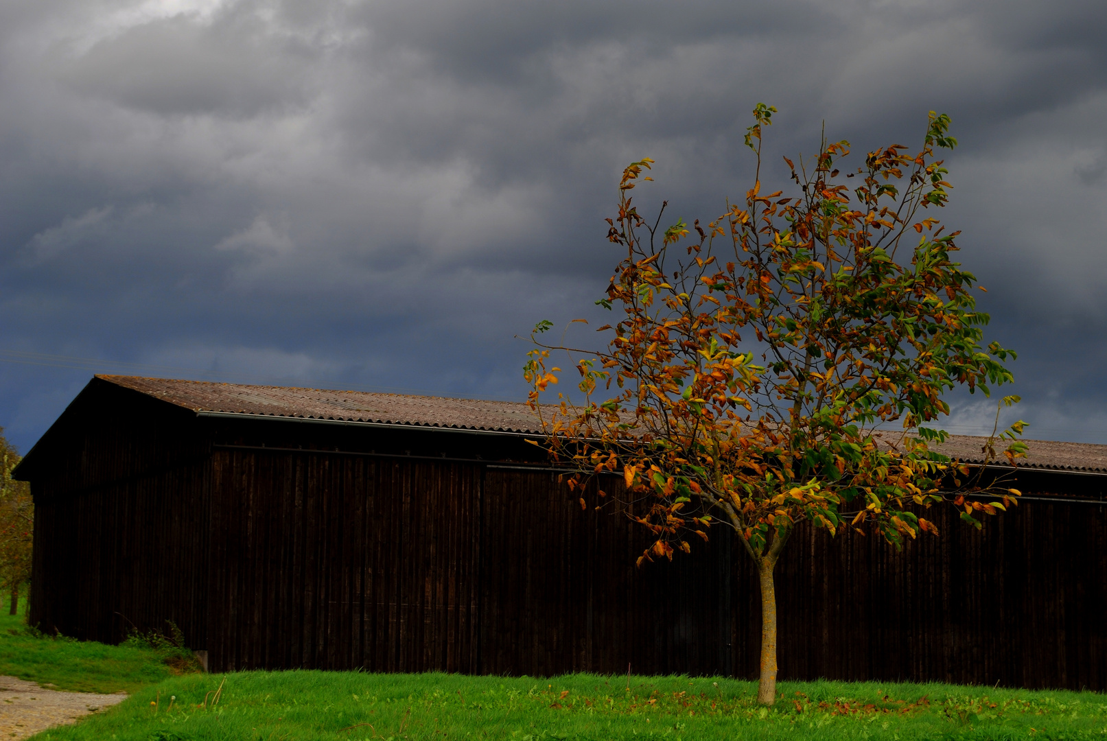 Feldscheune im Herbst