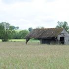 Feldscheune in der Schwalm