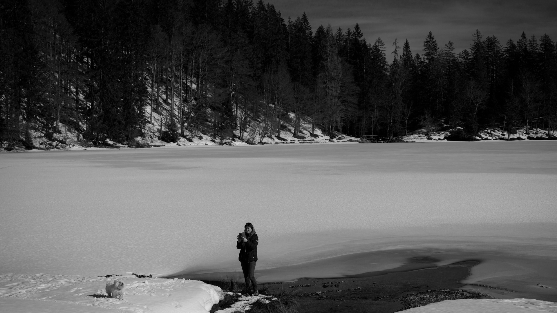 Feldsee