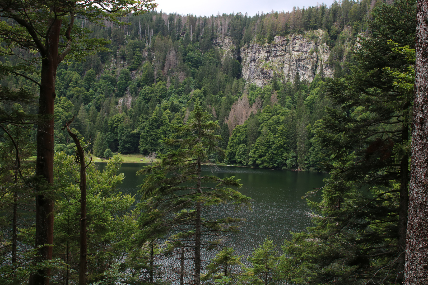 Feldsee