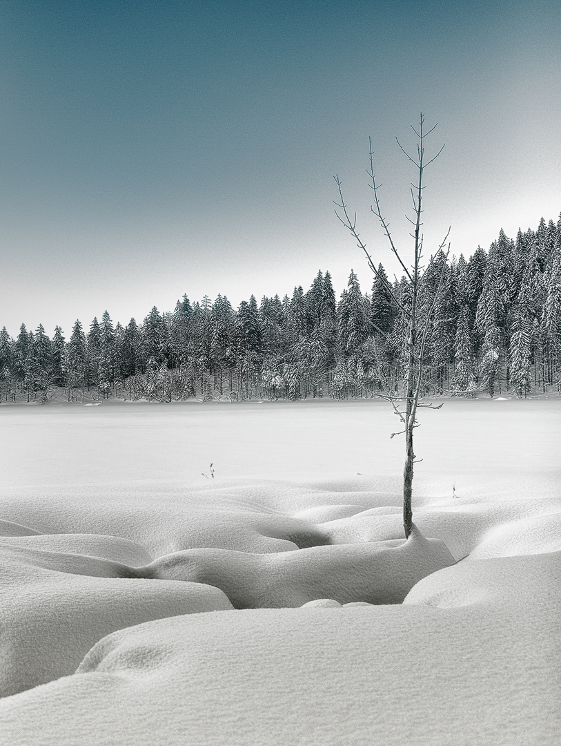 Feldsee