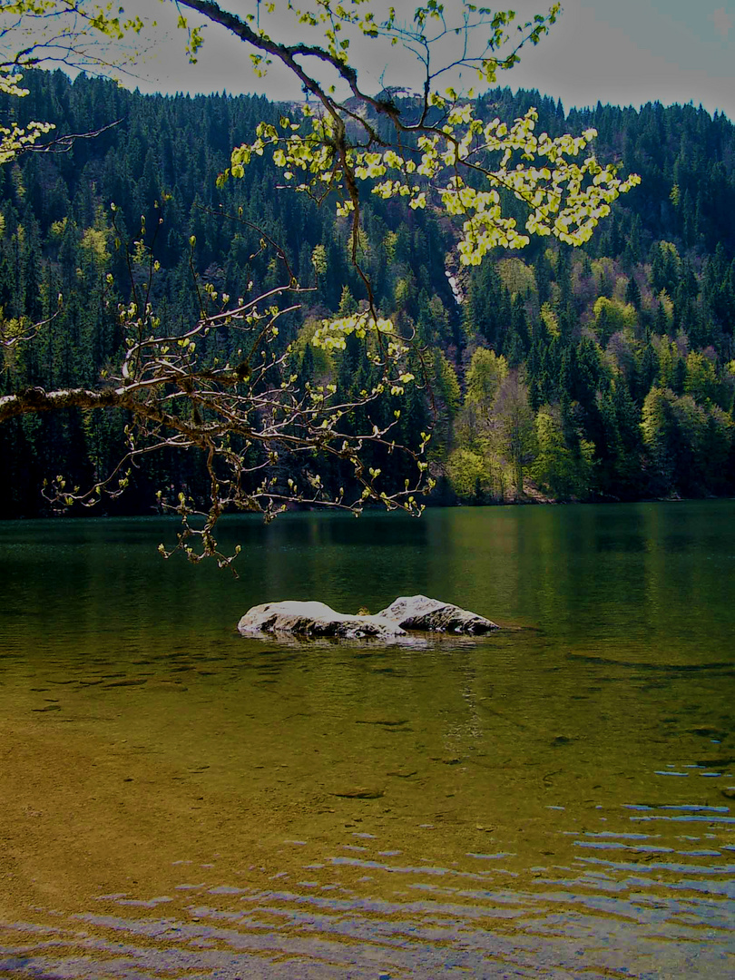 Feldsee