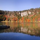 Feldsee