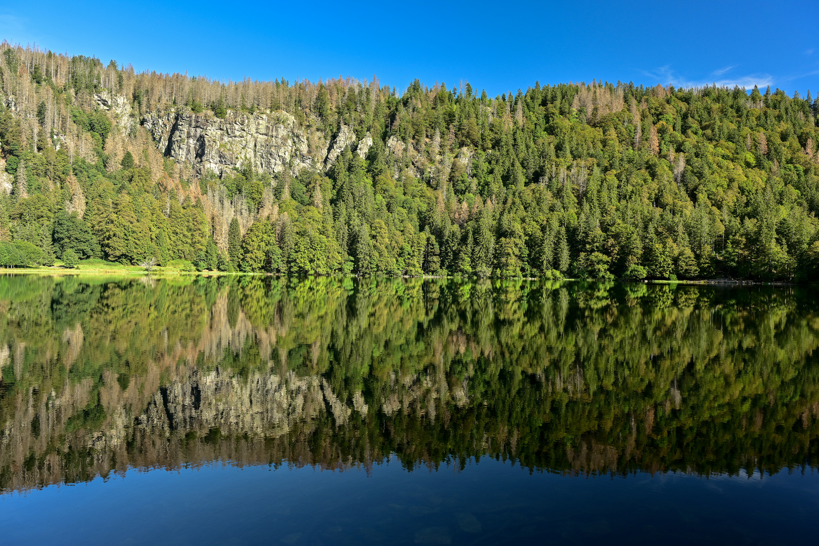 Feldsee