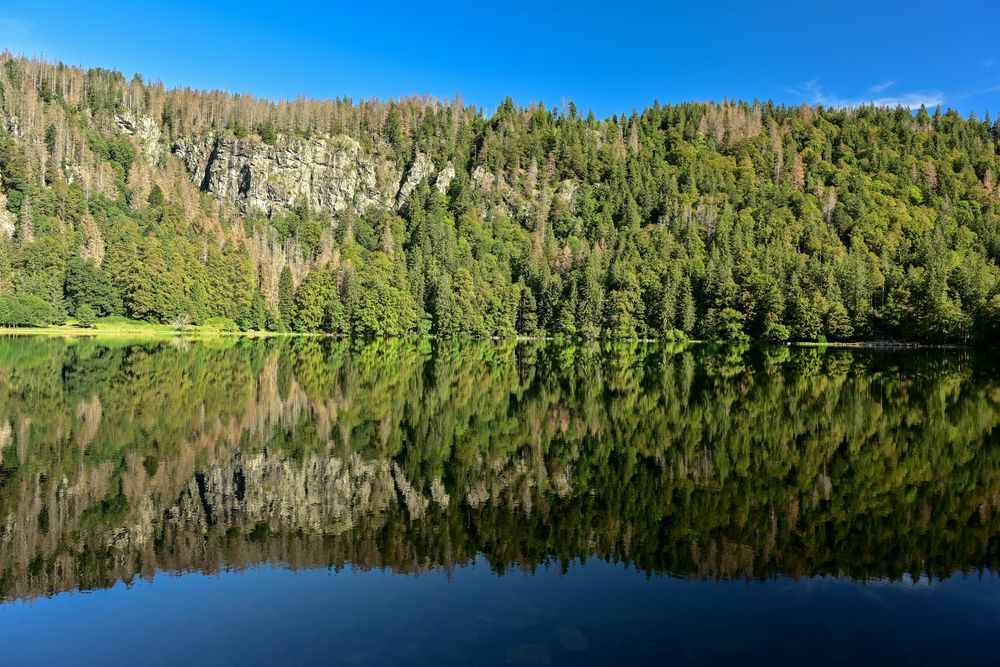 Feldsee