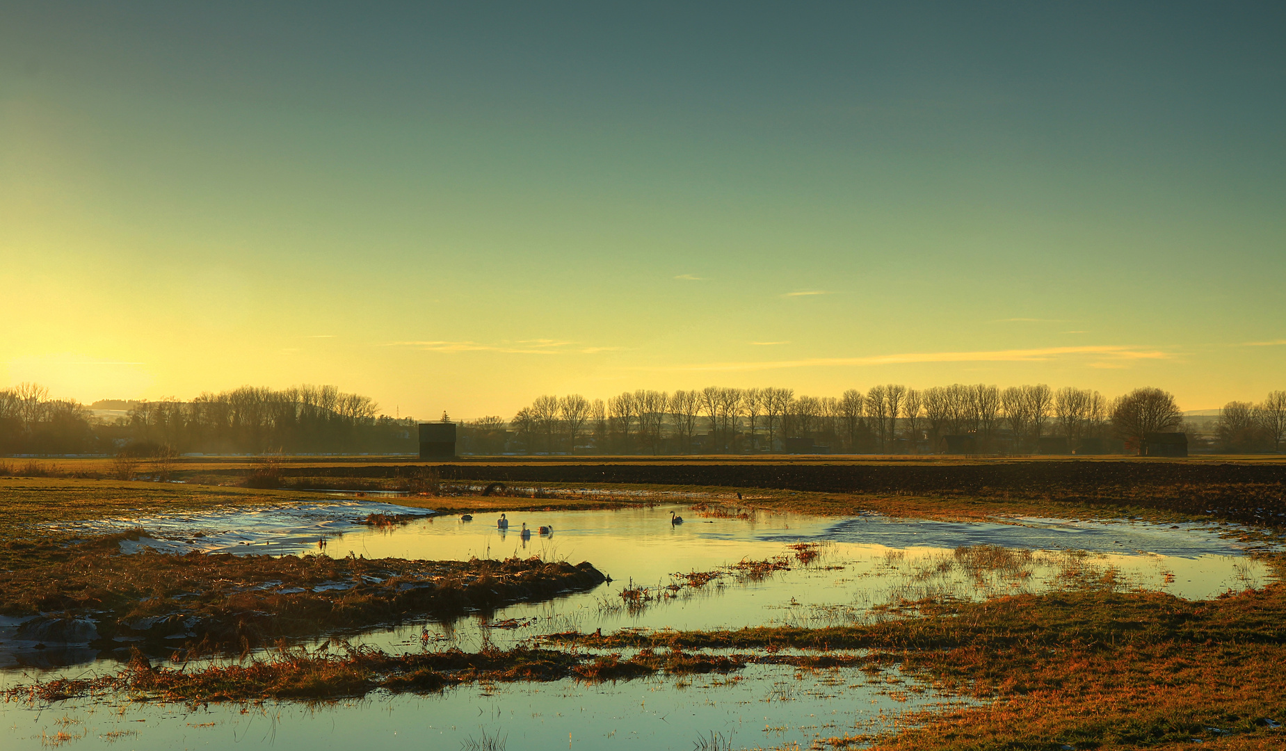 Feldsee