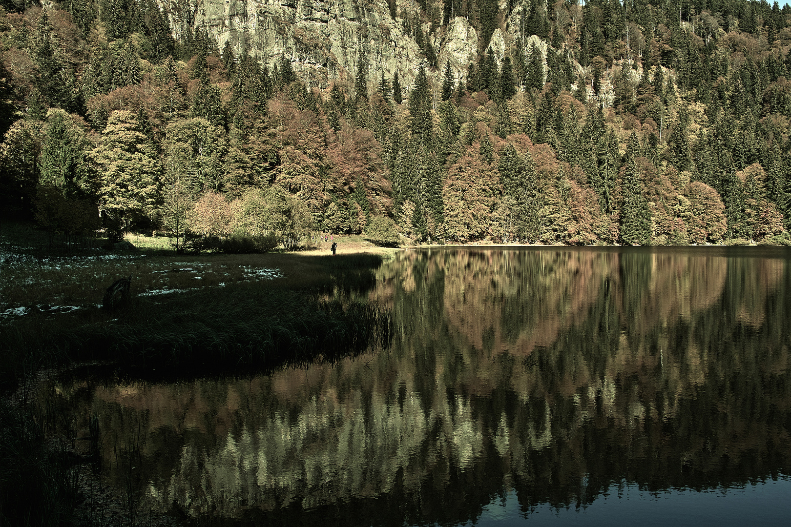 Feldsee