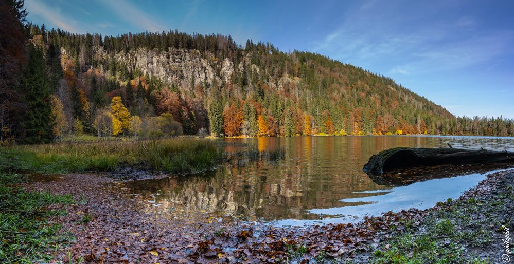 Feldsee