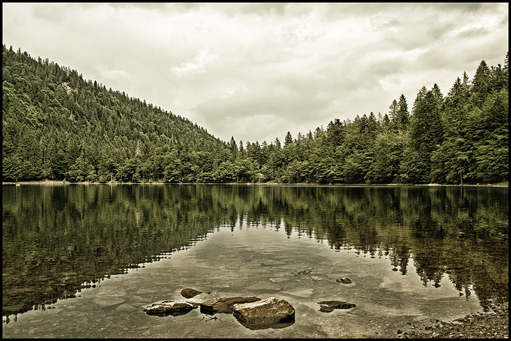 Feldsee