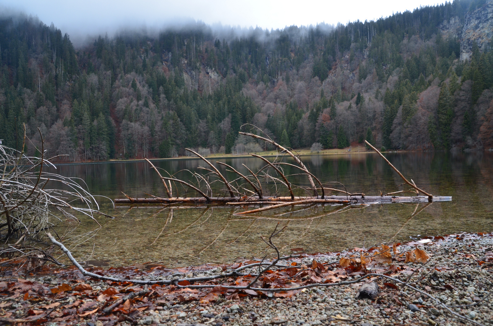 Feldsee