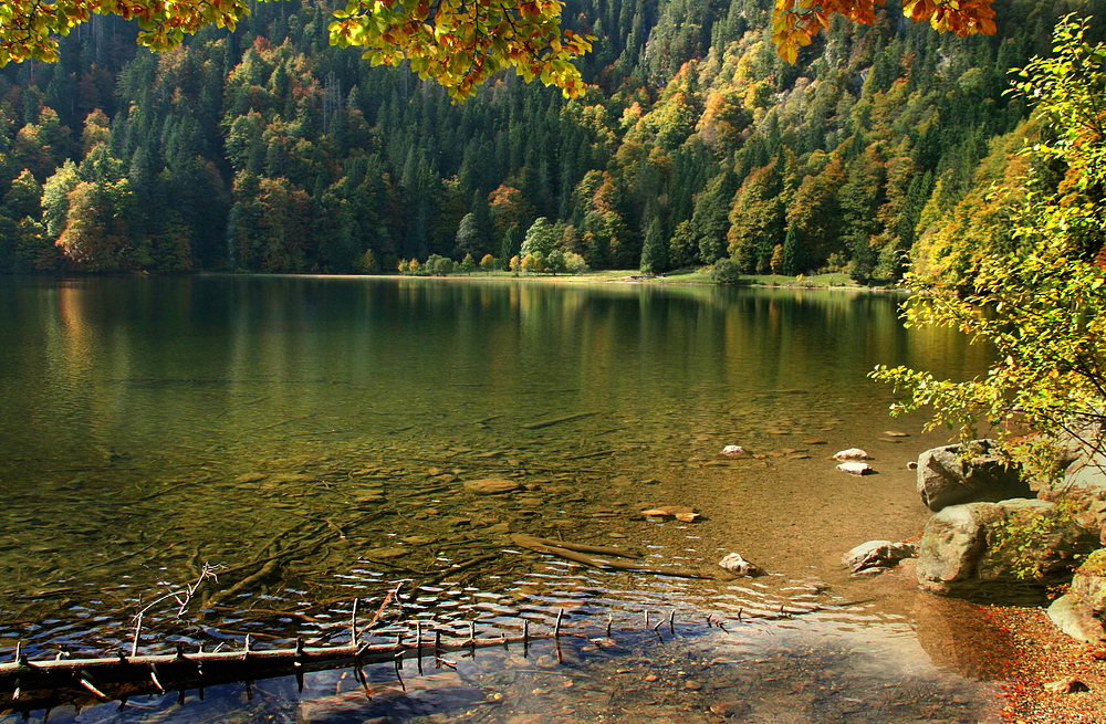 Feldsee - ein Traum!