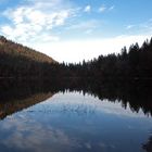 Feldsee im Feldberggebiet - Schwarzwald