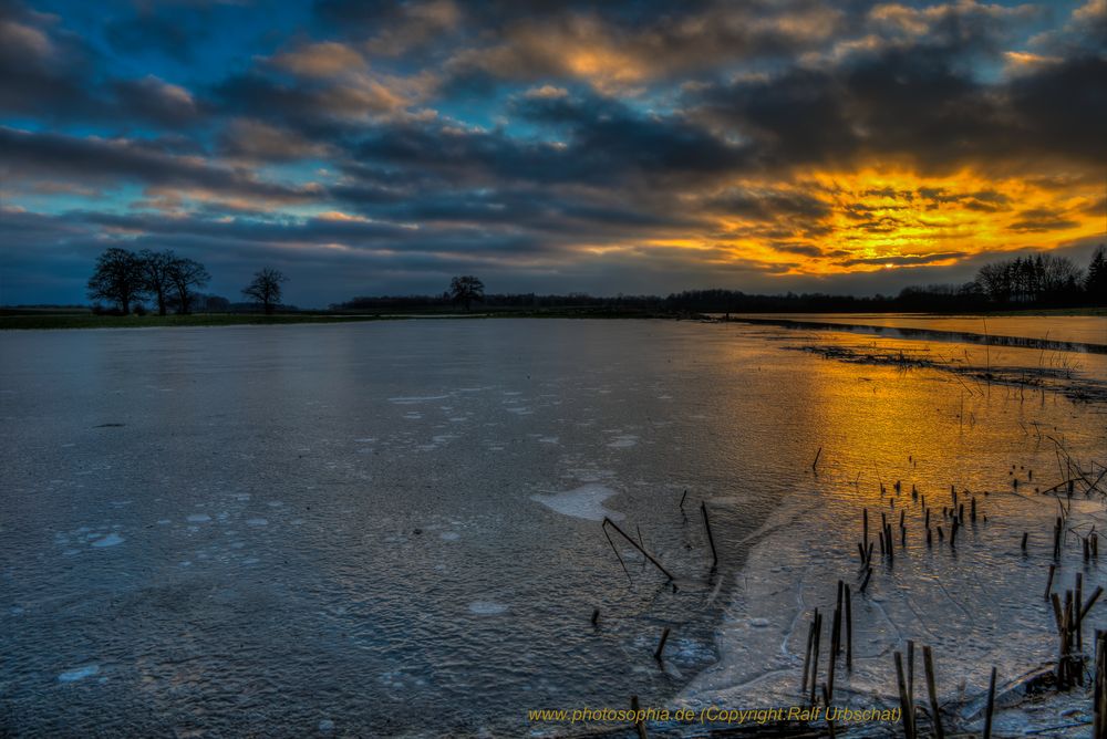 Feldsee im Goldlicht