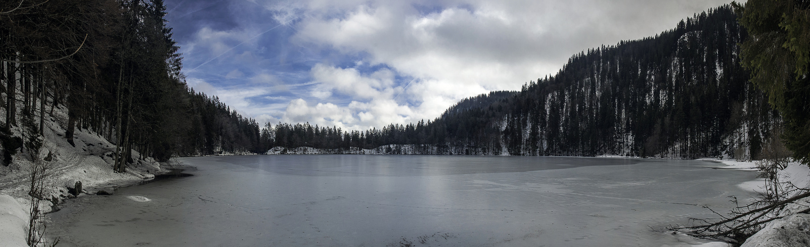 Feldsee, Schwarzwald