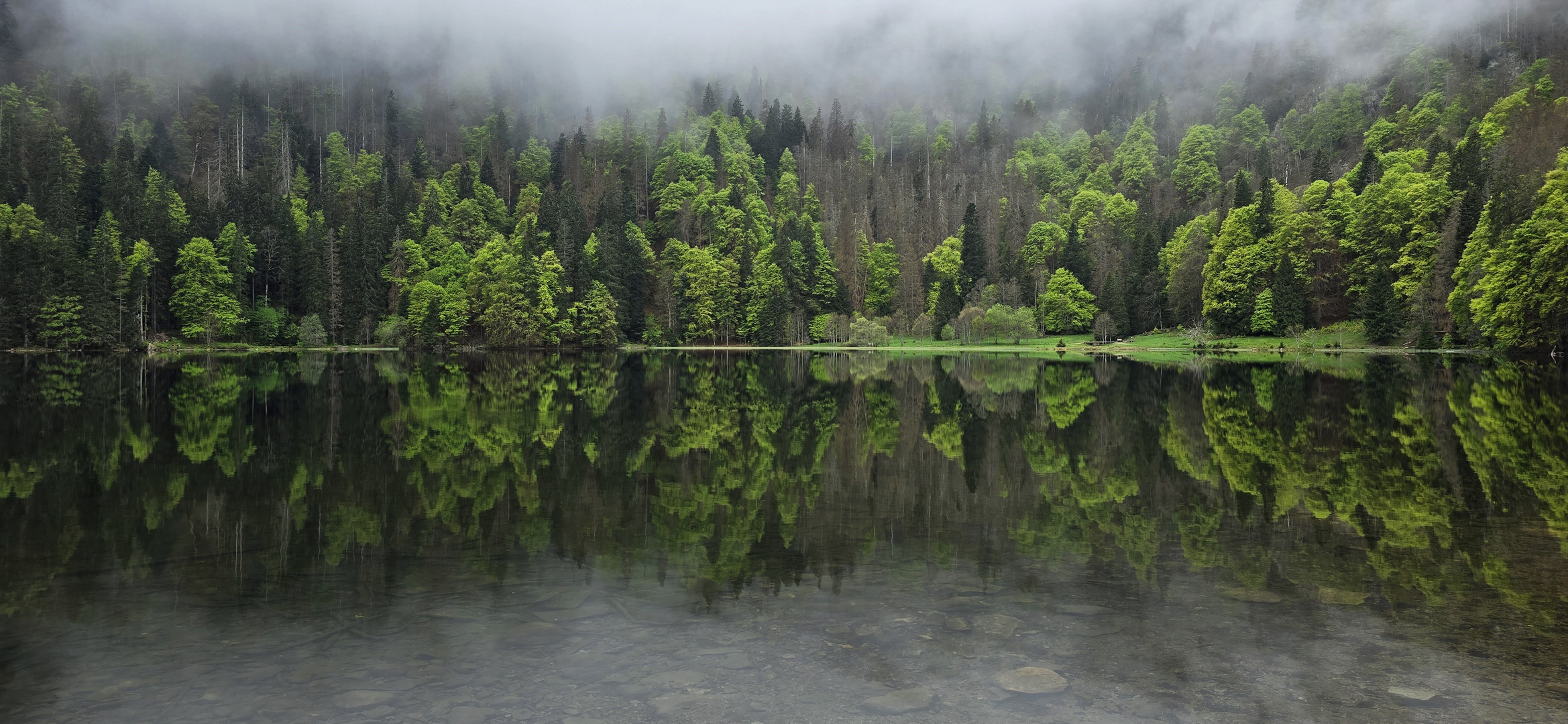 Feldsee (Schwarzwald)