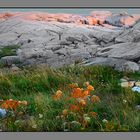 feldspar-quartz-mica ( Paggys Cove granite rocks)