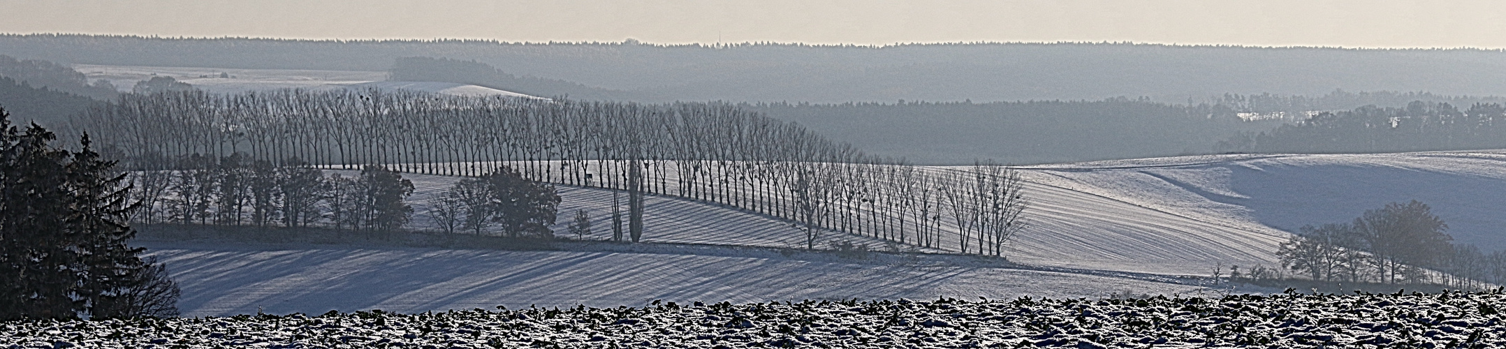 Feldstrukturen