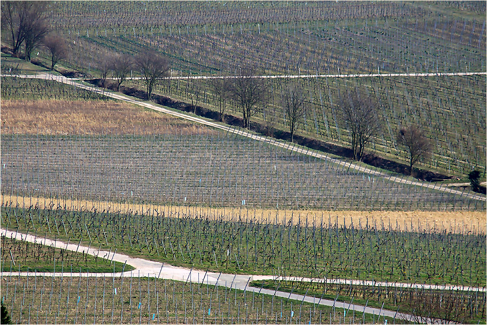 Feldstrukturen