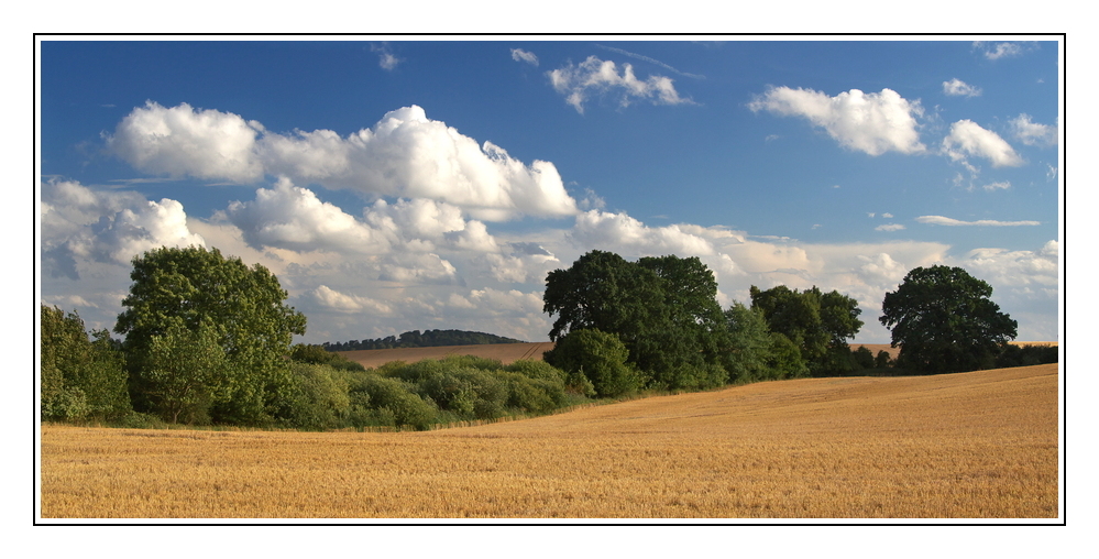 Feldteiler