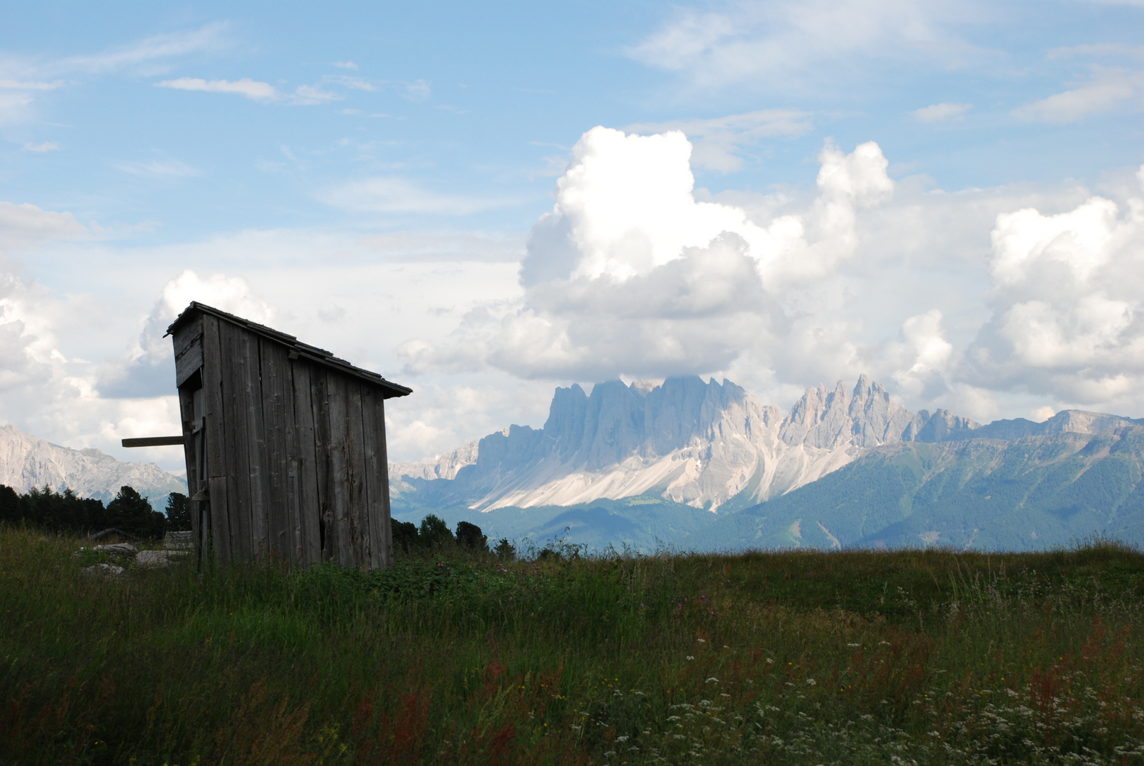 Feldthurner Alm (Südtirol)