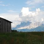 Feldthurner Alm (Südtirol)