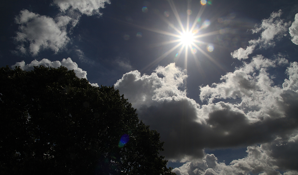 Feldversuch, gegen die Sonne