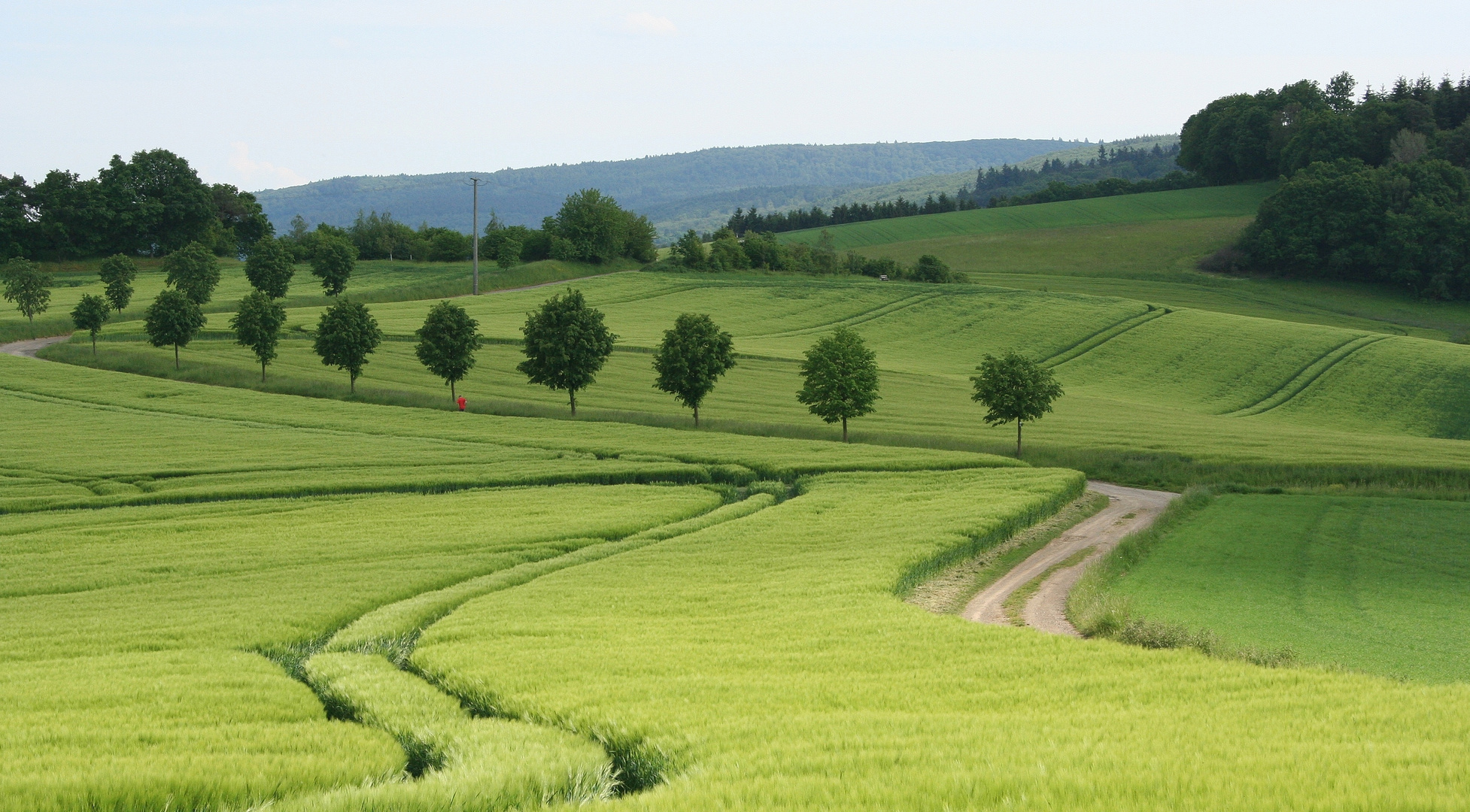 Feldweg