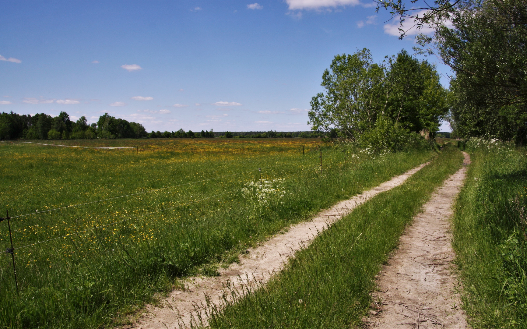 Feldweg