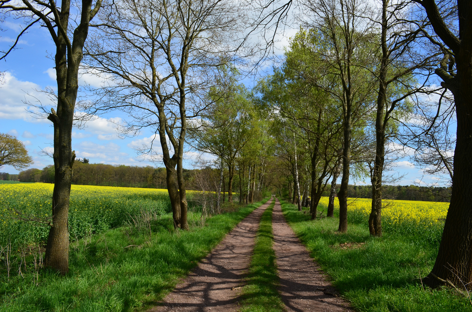 Feldweg