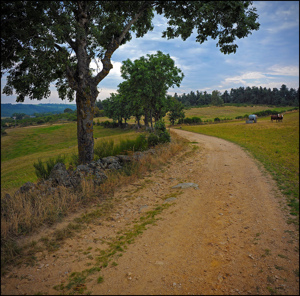 Feldweg