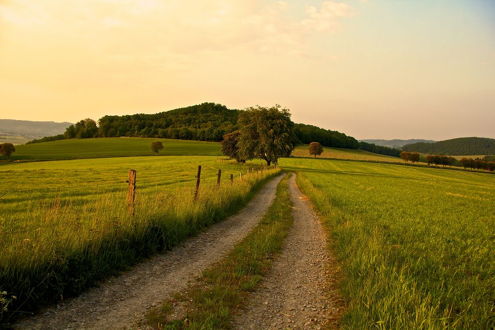 Feldweg Foto & Bild landschaft, wege und pfade, natur Bilder auf
