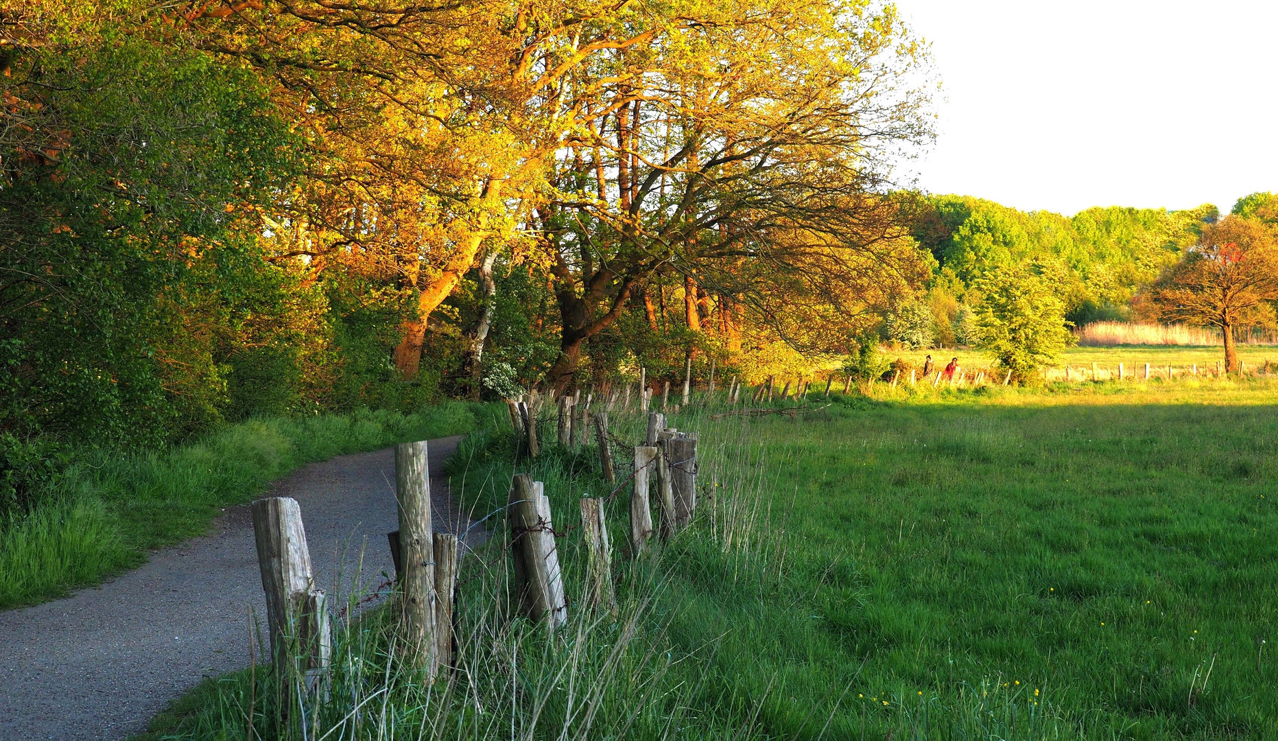 Feldweg