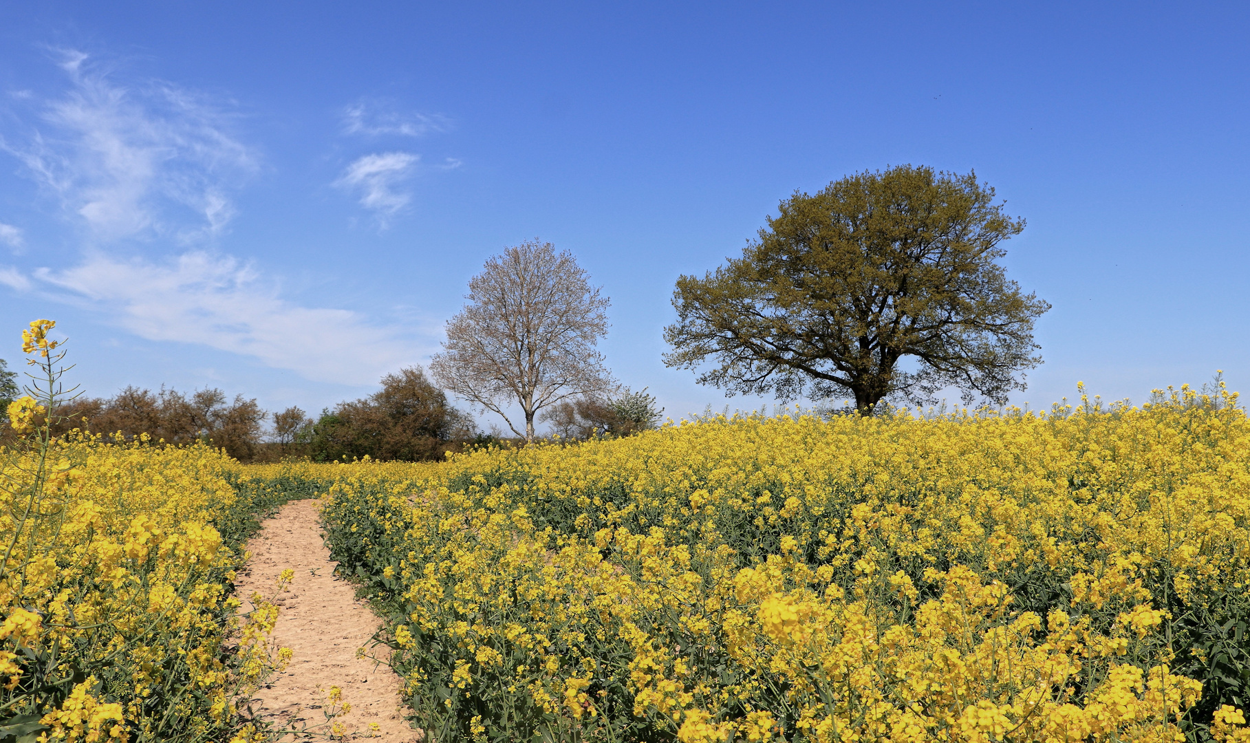 Feldweg