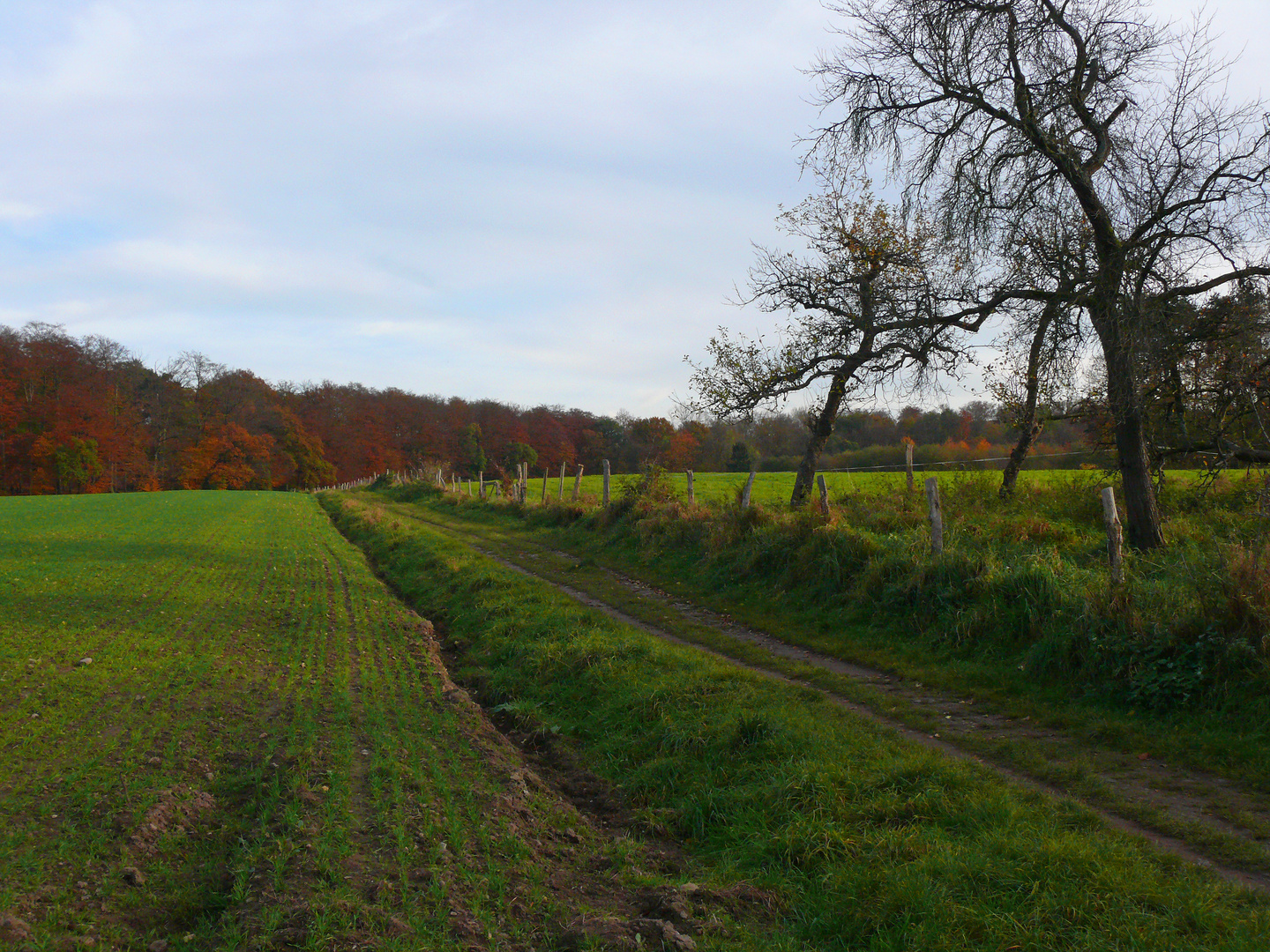 Feldweg