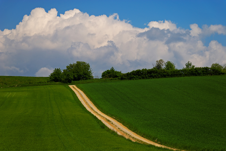 Feldweg