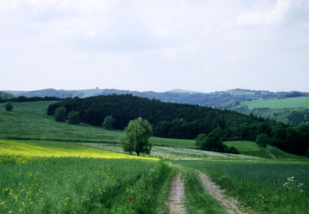 Feldweg