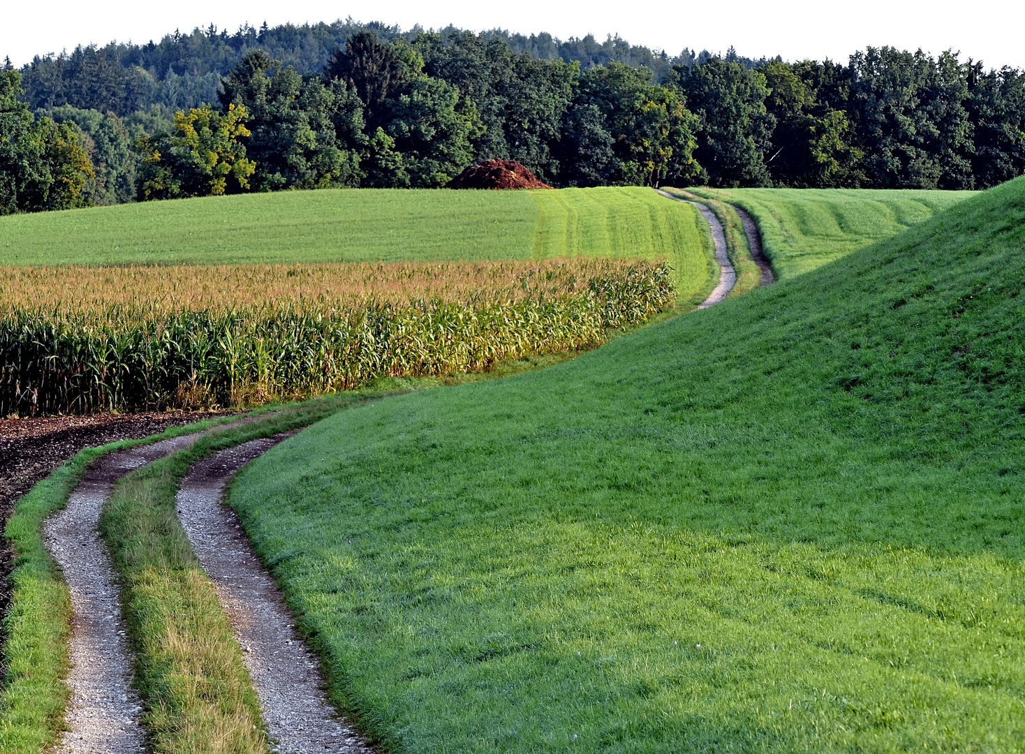 Feldweg