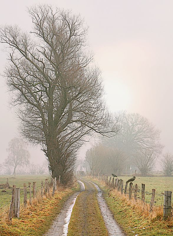 Feldweg