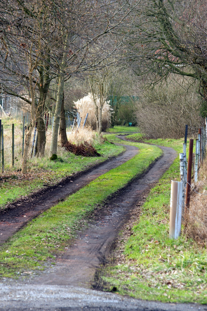 Feldweg ...