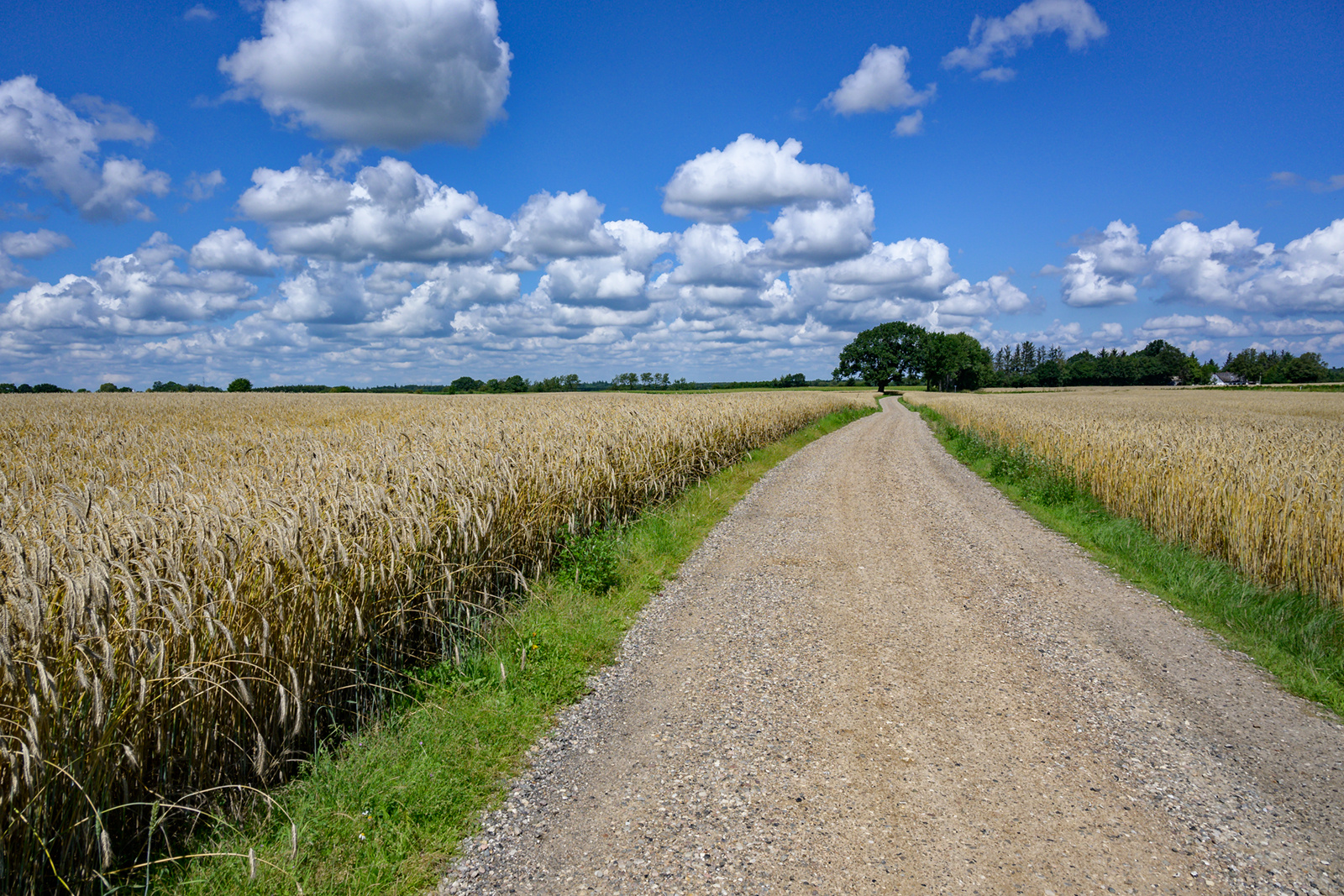 Feldweg