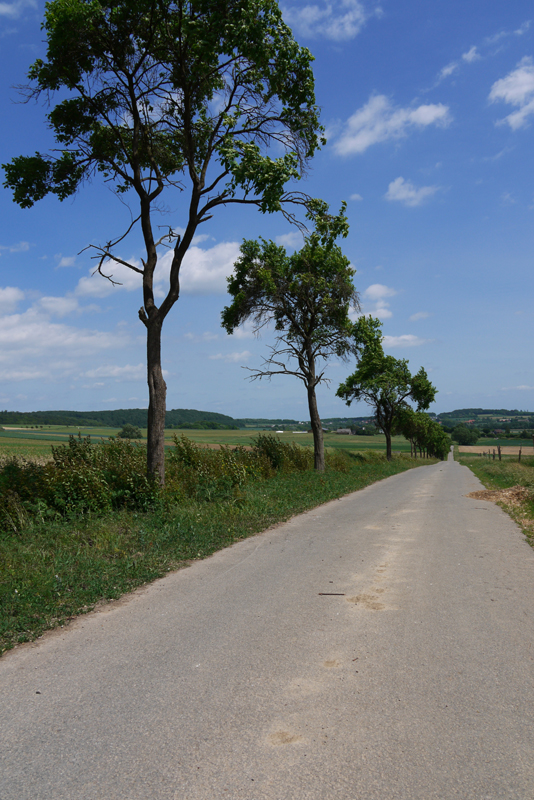 Feldweg