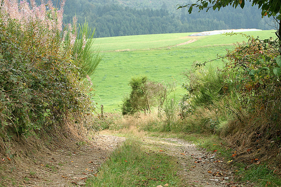 Feldweg