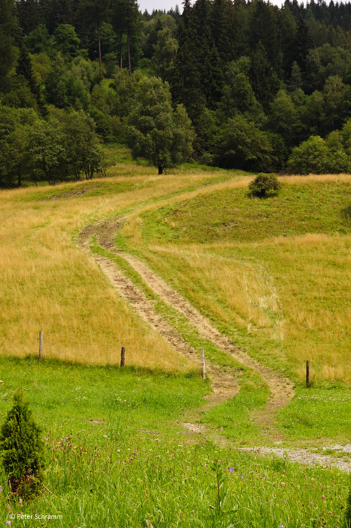 Feldweg